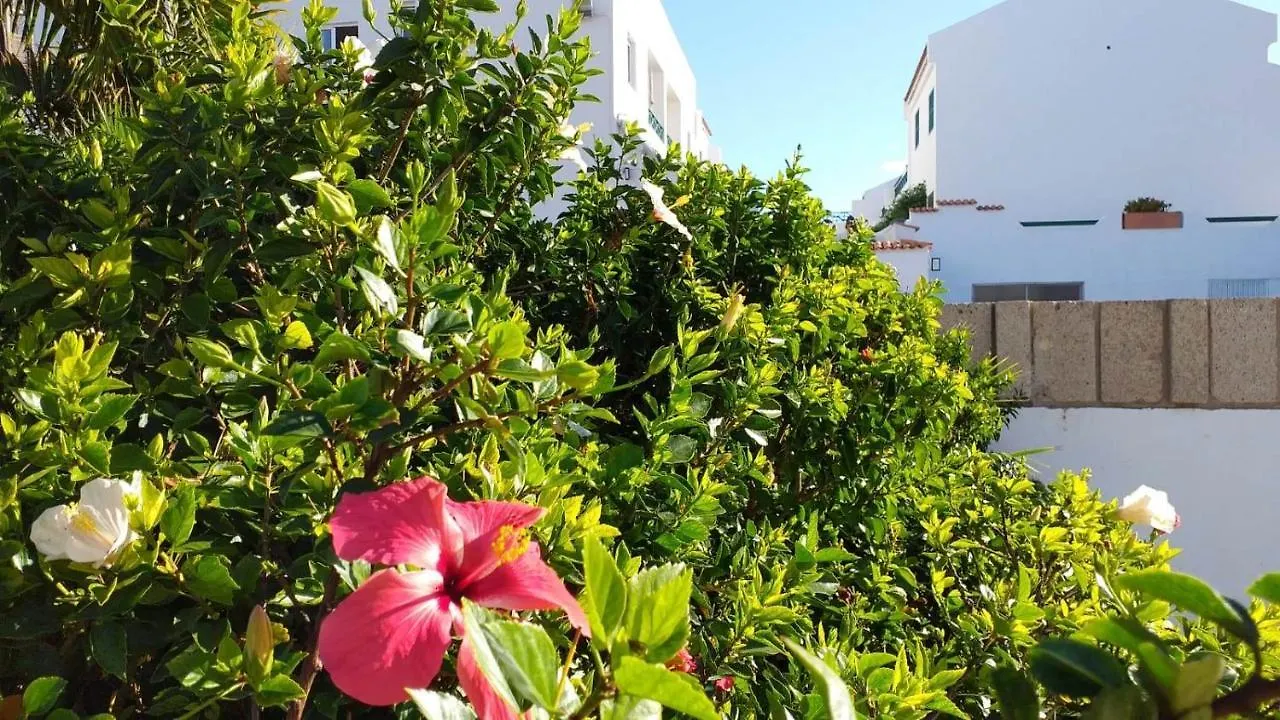 Antonella'S House- Parque Don Jose - Free Wifi Apartment Costa Del Silencio