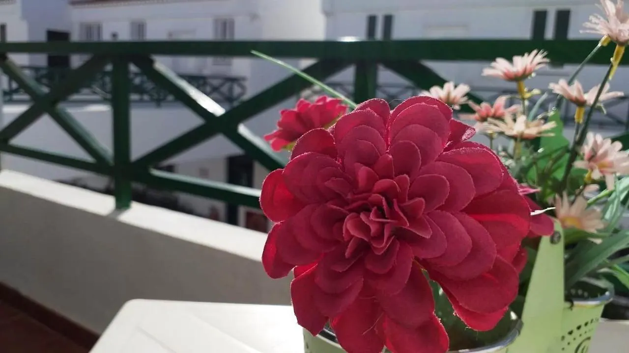 Antonella'S House- Parque Don Jose - Free Wifi Apartment Costa Del Silencio 0*,